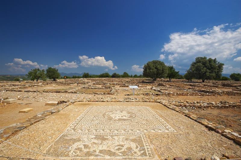 Άποψη της Αρχαίας Ολύνθου-Διακρίνεται ένα ψηφιδωτό δαπέδου1 (3/2/2014)