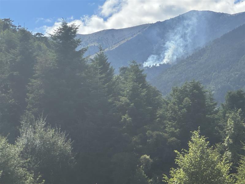 Σε «κόκκινη» επιχειρησιακή ετοιμότητα βρίσκονται η Περιφερειακή Ενότητα Πιερίας και ο Δήμος Δίου Ολύμπου για την αντιμετώπιση δασικής πυρκαγιάς που εκδηλώθηκε από φυσικά αίτια σε δύσβατη ορεινή περιοχή του Ολύμπου και χωροθετείται στην Περιφέρεια Θεσσαλίας και στα όρια με την Πιερία. (6/8/2023)